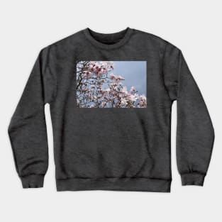 Spring Time Pink Blossoms Photography Crewneck Sweatshirt